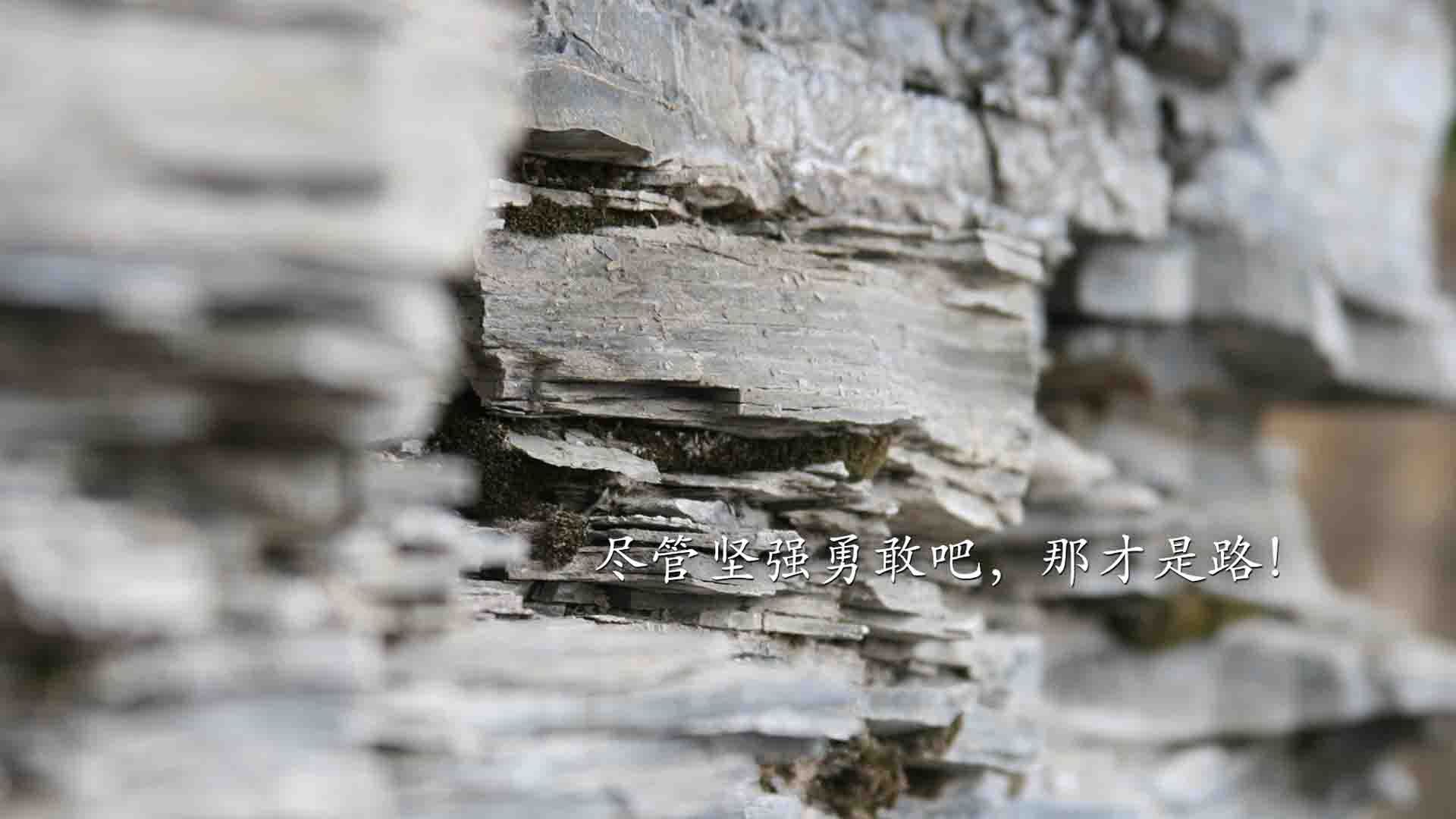 _凯尔特人连续五场不败，士气高涨_，凯尔特人近期战绩