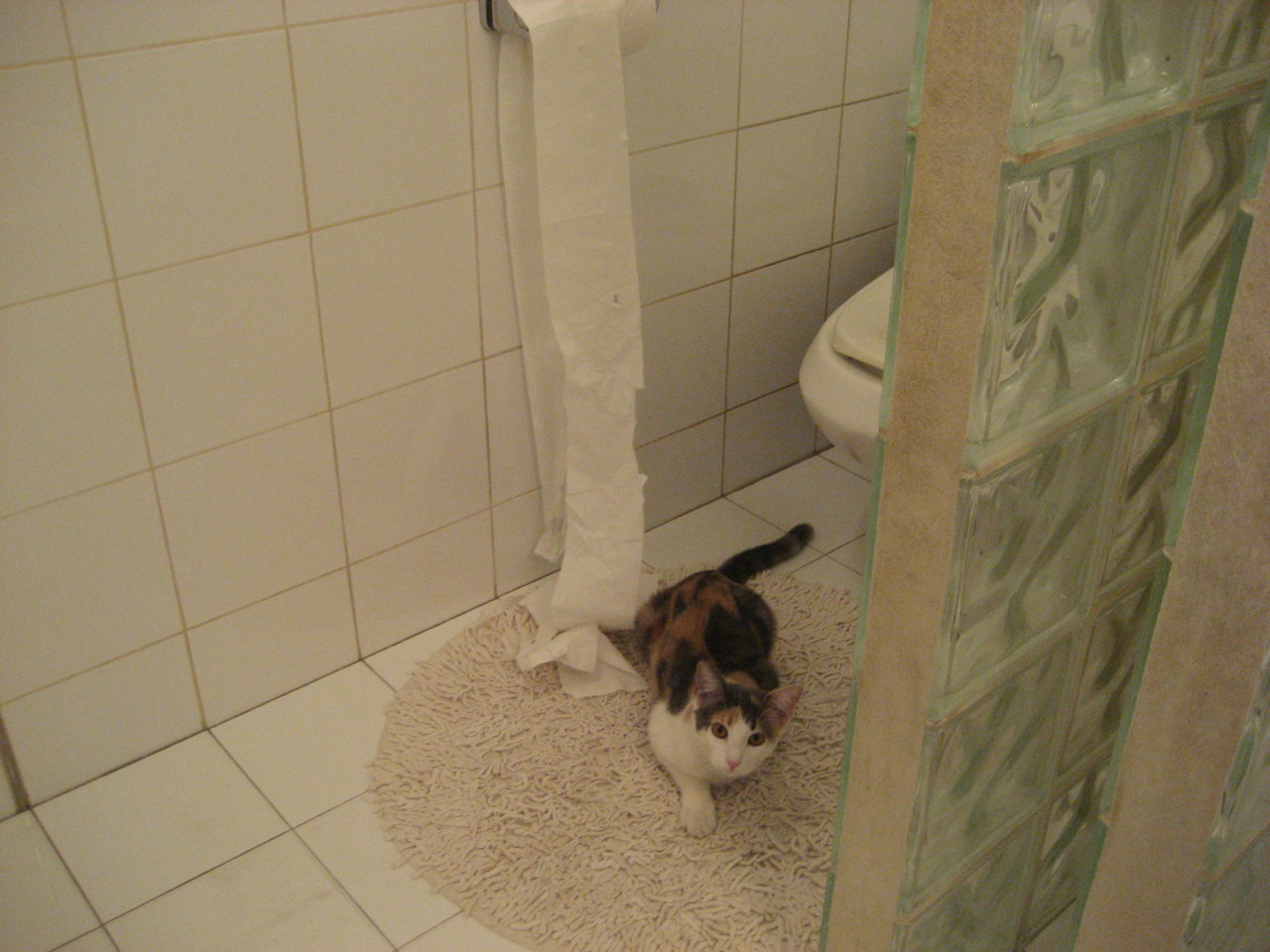 优质青训基地通过国际认证，行业国际化水平持续提升，著名青训营