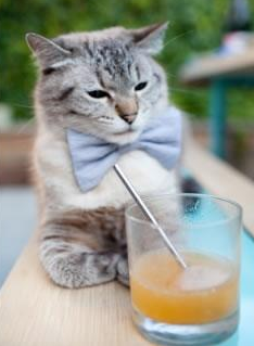 全国青少年“绿色训练”创新实践在青海全面铺开，推动绿色可持续发展