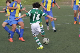 kaiyun 开云体育-球员是否通过预判跑位优化传球角度与强度，球员跑动距离怎么测的